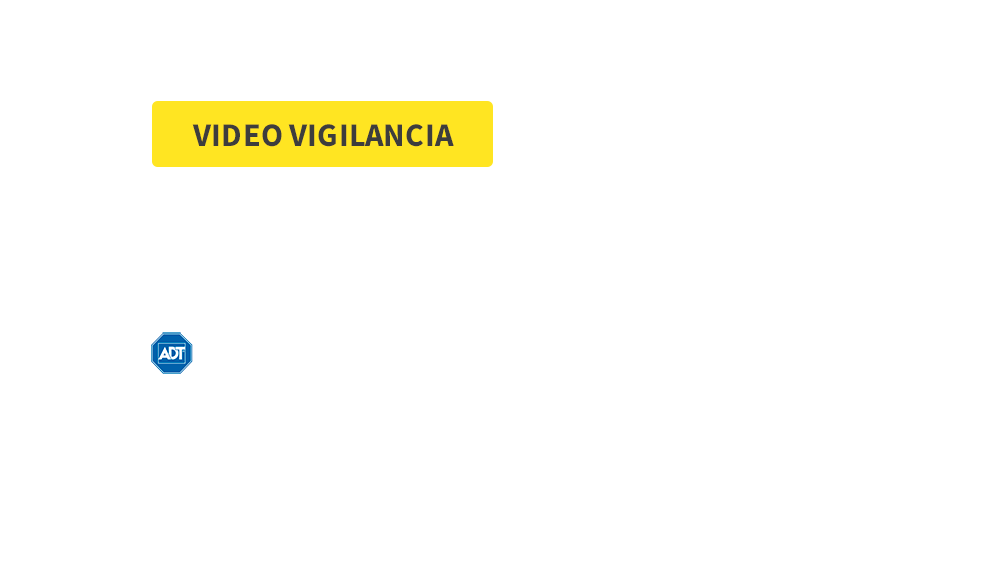 Video Vigilancia